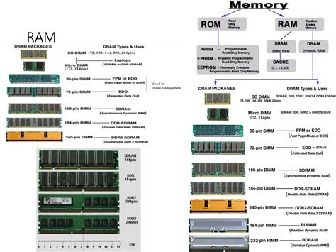Computer Hardware and Software 的图像结果