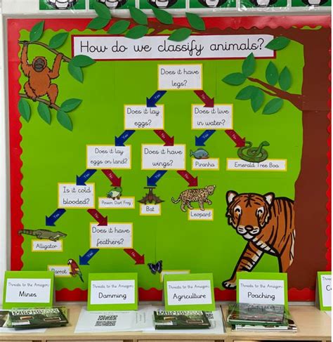 Image result for Classification Display KS2