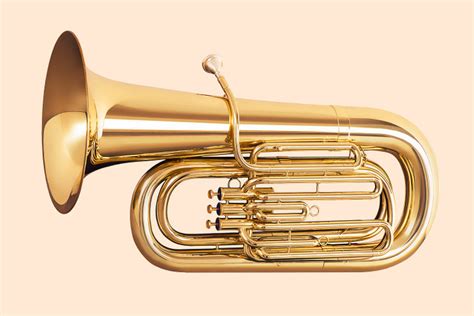 Image result for A Wind Instrument