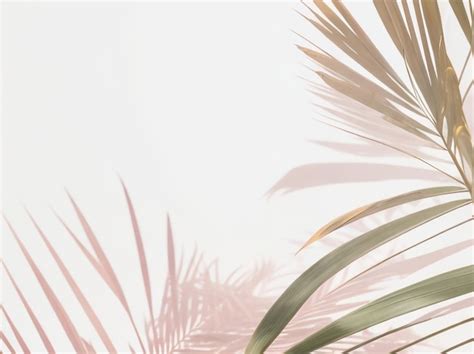 Professional Background 的图像结果