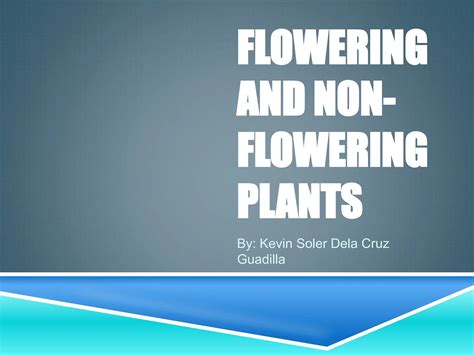 FLOWERING AND NON-FLOWERING PLANTS.pptxFLOWERING AND NON-FLOWERING ...