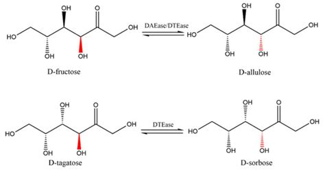 Research Advances of d-allulose: An Overview of Physiological Functions ...