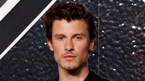 Quem é a mulher misteriosa que Shawn Mendes levou aos VMA? - Fama Show