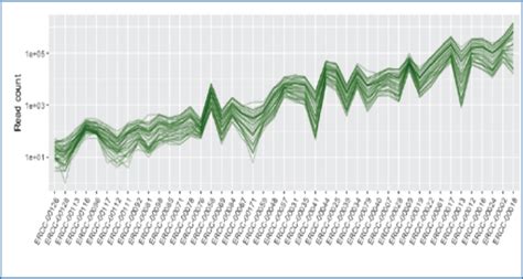 RNA Transcript Graph 的图像结果