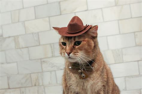 Brown Cowboy Cat Hat FREE SHIPPING - Etsy
