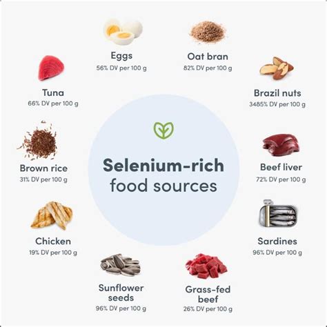 Image result for Selenium Food Sources