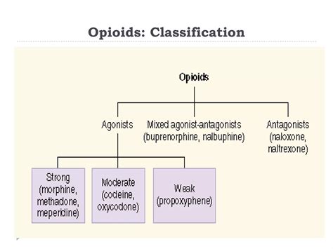 Opioid analgesics and antagonists | PPTX