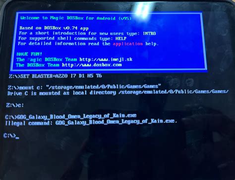 DOSBox Command 的图像结果
