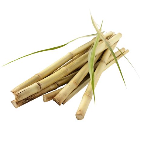 Sugar Cane In Spanish Slang at Micheal Wilder blog