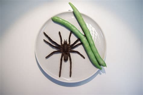 The Most Disgusting Food In The World