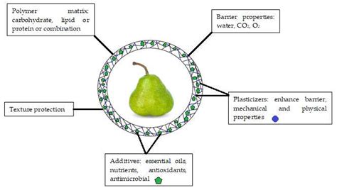 Application of Edible Coating in Extension of Fruit Shelf Life: Review