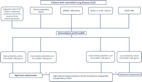 A Systematic Review and Expert Recommendation on the Diagnosis of Pulmonary Hypertension ...