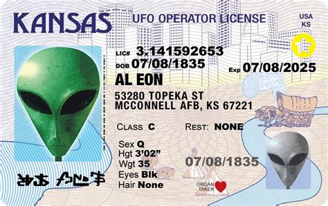 Image result for Alien ID
