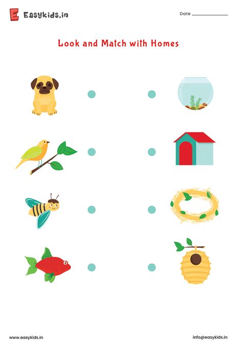 Image result for Free Match Look For