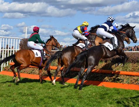 Point to Point Racing 的图像结果