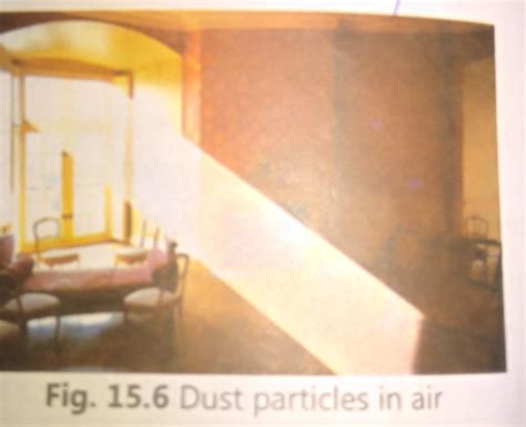 with the help of an activity, how will you show that air contains dust ...