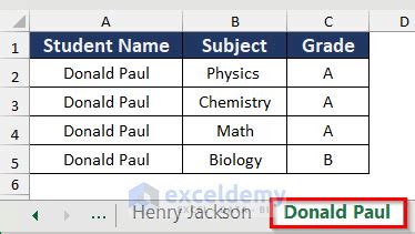 Split Excel Worksheet Based On Column VBA 的图像结果