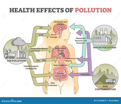 Soil Pollution Effects On Humans