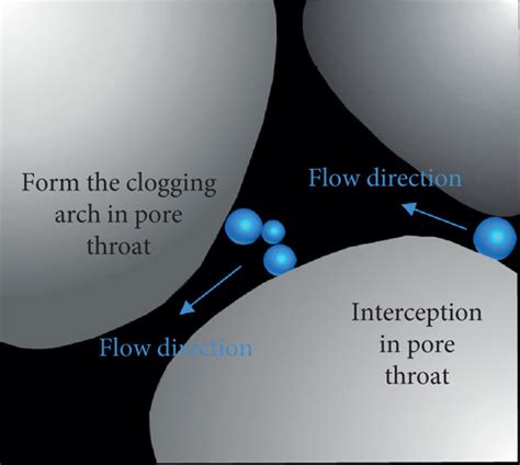 Particle Filter Clogging 的图像结果