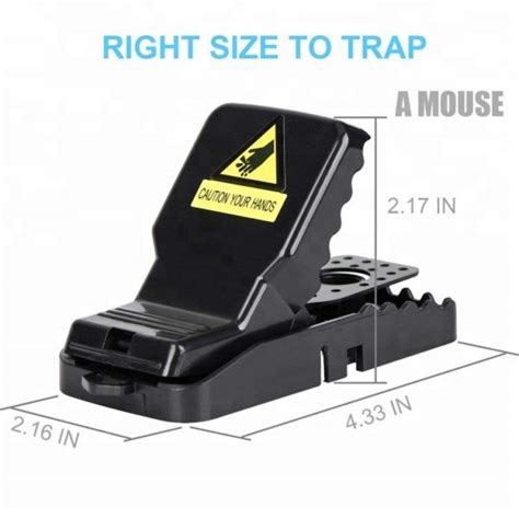 Image result for How to Set Mouse Guard Mouse Trap