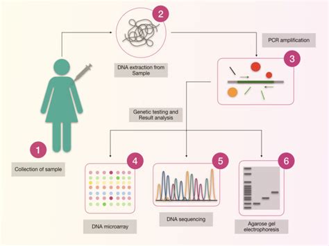 Image result for Genetic Testing Process
