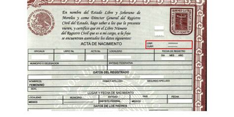 Crip del Acta de nacimiento ️Toda la INFO actualizada