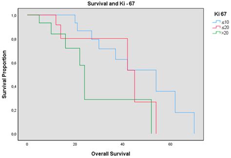Retrospective and Randomized Analysis of Influence and Correlation of ...