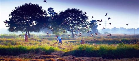 An unforgettable experience - Indian Panorama