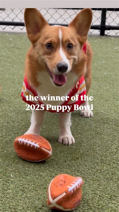 The Hoboken Girl® | Have you been to Yuan in Jersey City yet? This new spot opened August 14th ...