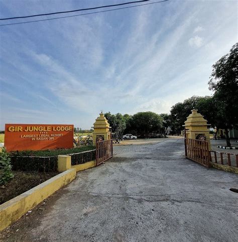 GIR JUNGLE LODGE (Gir National Park, Gujarat) - Hotel Reviews, Photos ...
