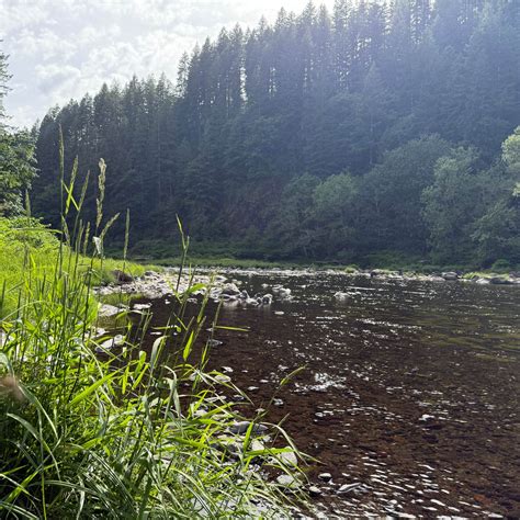 Tillamook State Forest Nehalem Falls Campground | Tillamook State ...