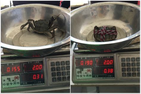 蟹卡买的螃蟹能放多久-蟹卡买的螃蟹怎么保存-趣丁网
