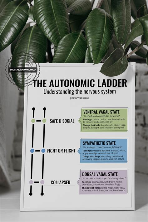 Image result for Autonomic Ladder