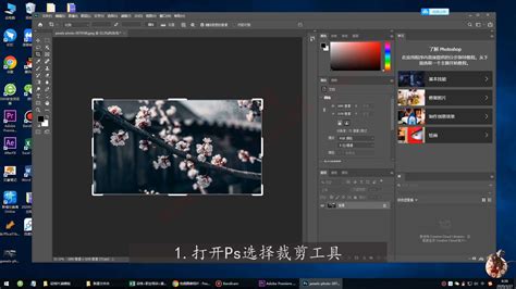 Photoshop抠图教程之一图多抠-PS抠图教程-PSDEE教程网