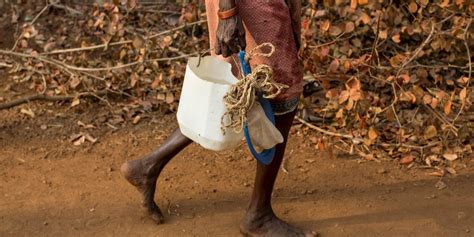 Dalits, Adivasis Most Likely to Face Coercion to Stop Open Defecation ...