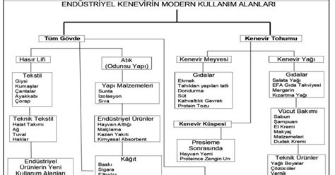 Endüstriyel Kenevir ve Kullanım Alanları – Bölüm 3 (Kenevir Tarımı Kitabı)
