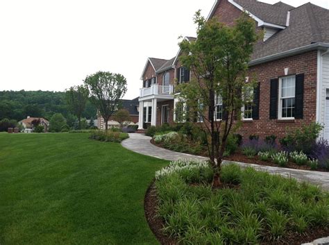 Create a Lush, Inviting Lawn for Family Picnic Days With Lawn Care ...