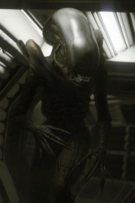 Image result for Alien Isolation Humans