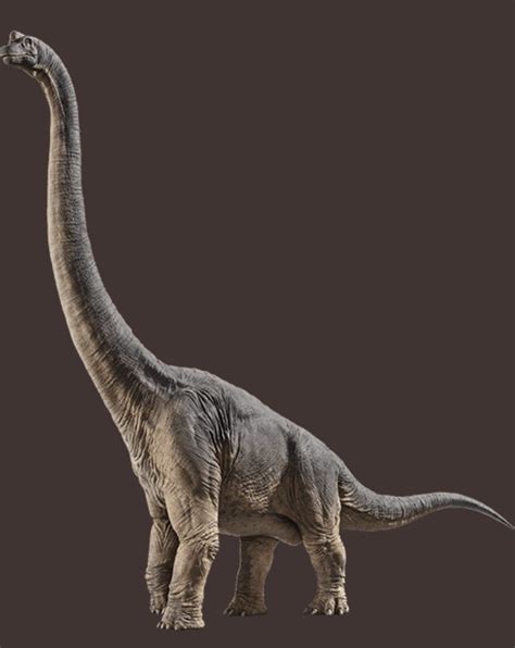 Jurassic World Fallen Kingdom full photo of the Brachiosaurus Jurassic ...