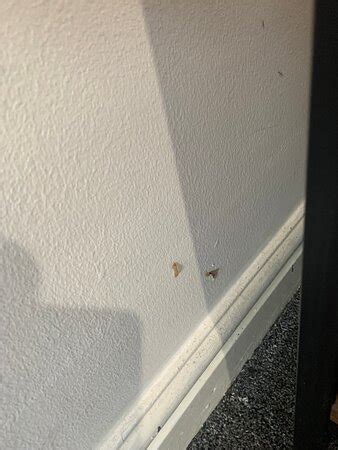 ALBERT VIEW (Manchester) - Lodging Reviews, Photos, Rate Comparison ...