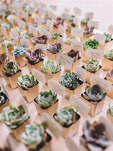 Succulent Wedding Favours Rustic Wedding Ideas by 15 Rustic Wedding Favors Your Guests Will Succulent Wedding Favours Rustic Wedding Ideas