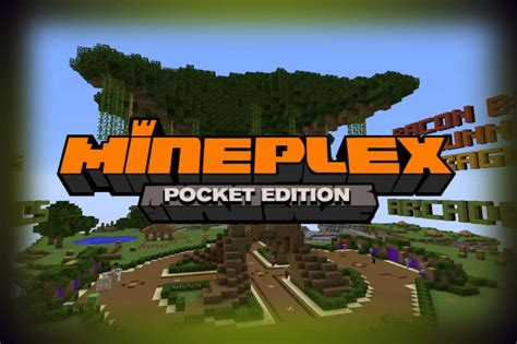 Mineplex Server IP Java 的图像结果