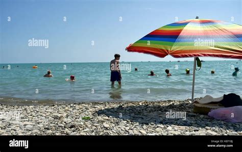 Swim in the Sun 的图像结果