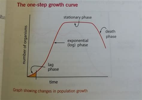 Image result for One Step Multiplication Curve