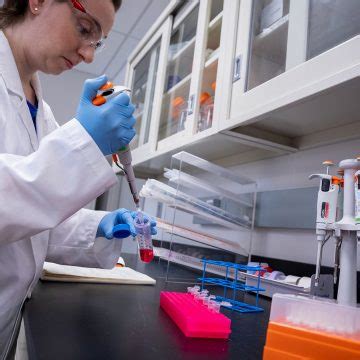 Lab Essentials – Tips for Making your Cell Culture Work More Efficient ...