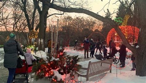 Family Nights at Winter Lights, Minnesota Landscape Arboretum ...