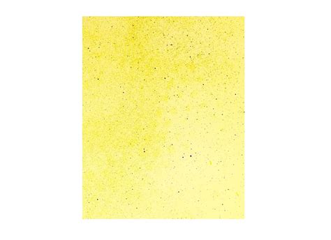 SpotOn Water Sensitive Paper, Extra Large 9.75x11.75. Five Big Sheets ...