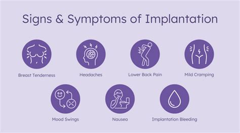 Conception Process Step by Step 的图像结果