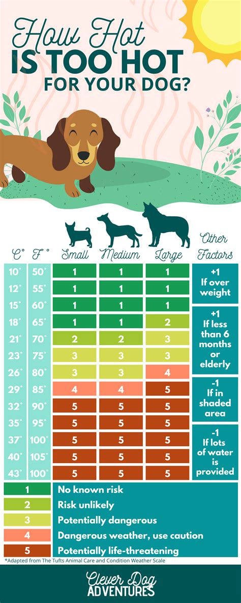 At What Temperature Should A Dog Not Be Walked at Irene Rayburn blog