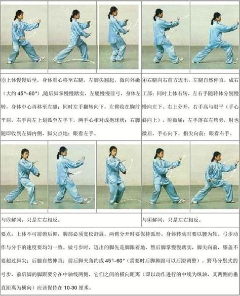 吴阿敏24式太极拳全套高清背向示范教学